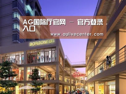 案例展示一