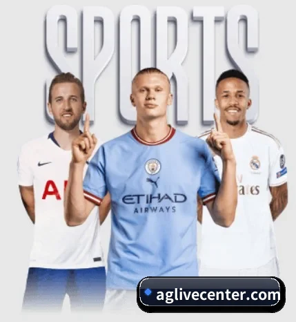 五个功能入口,赛程查询路径更短 - 多运动项目内容板块
