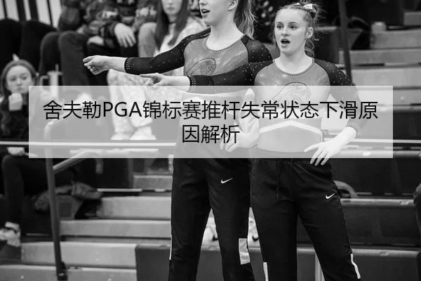 she-fu-lei-jin-biao-sai-tui-gan-shi-chang-zhuang-tai-xia-hua-yuan-yin-jie-xi-2-507.jpg
