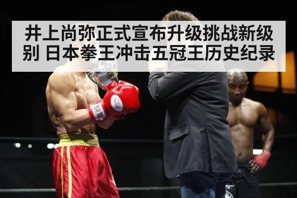 Japanese boxer champion
