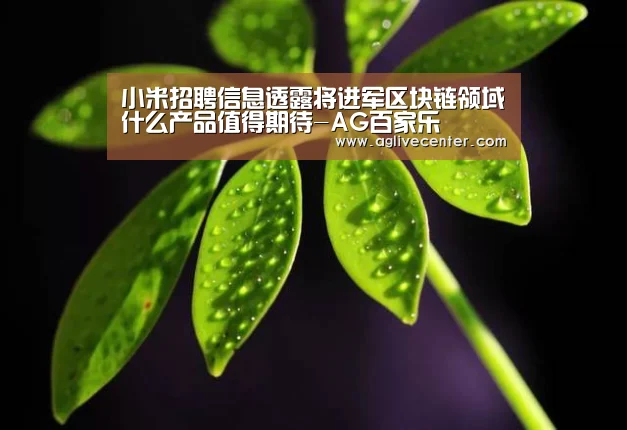 AG百家乐