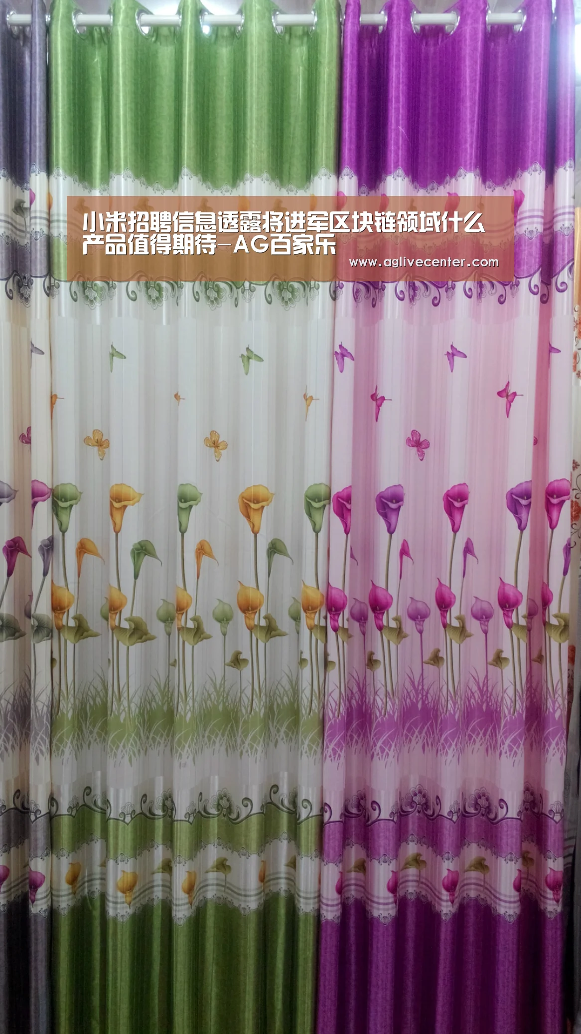 AG百家乐