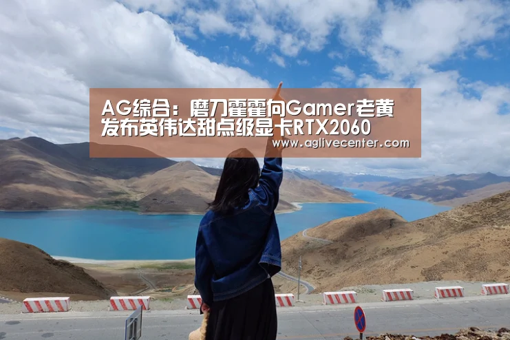AG综合:磨刀霍霍向Gamer老黄发布英伟达甜点级显卡RTX2060(图2) AG百家乐